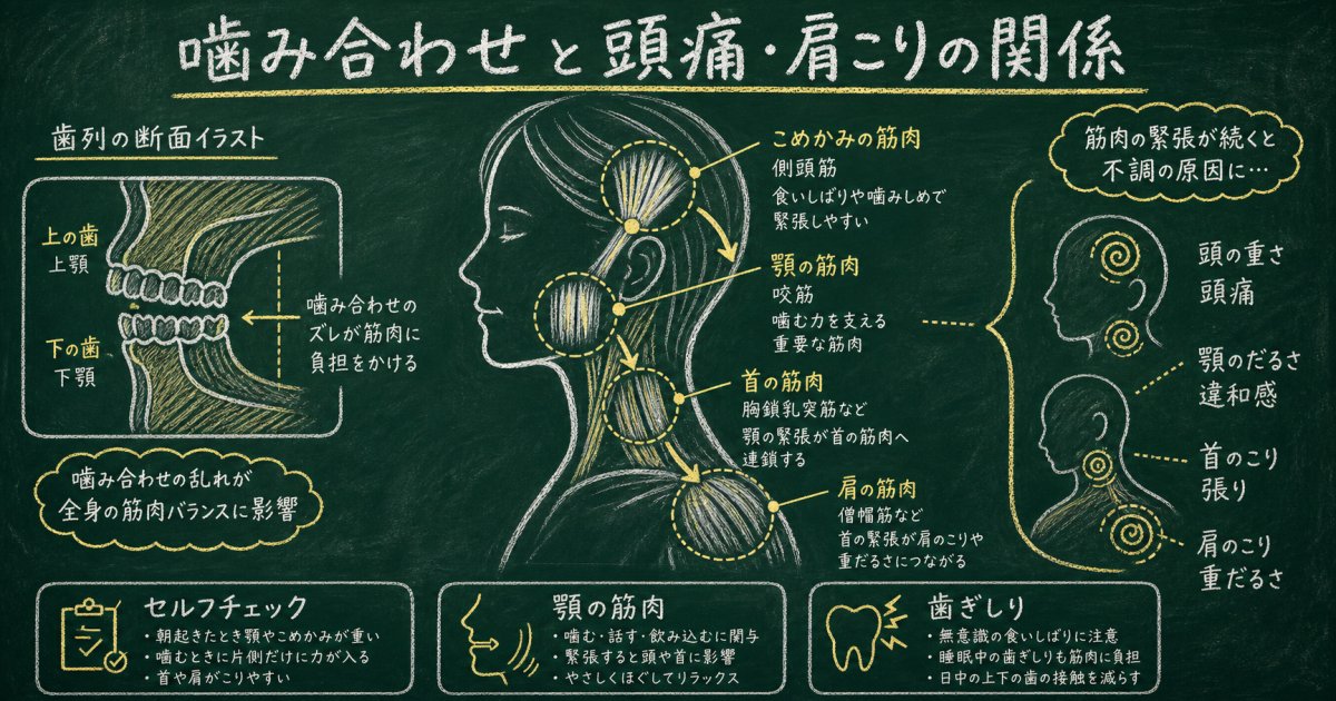治らない頭痛や肩こりは噛み合わせが原因？セルフチェックと仕組み